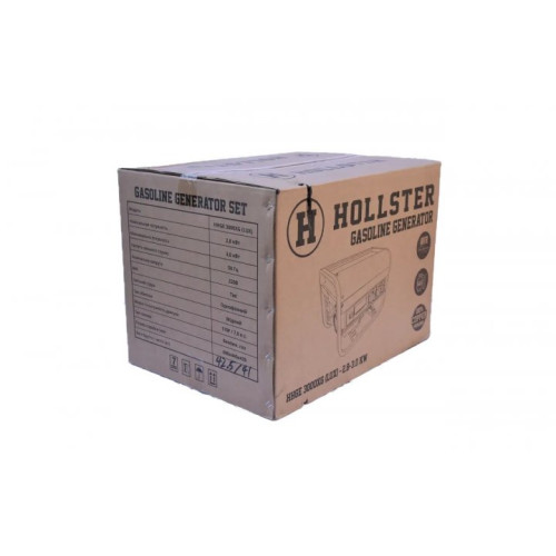 Бензиновый генератор Hollster (HHGE3000XG) LUX