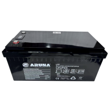”ARUNA” LFP 100-12,8BD (1280Wh, BMS, LCD)